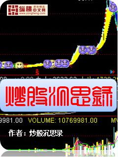 炒股回忆录