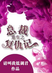 总裁复仇推荐