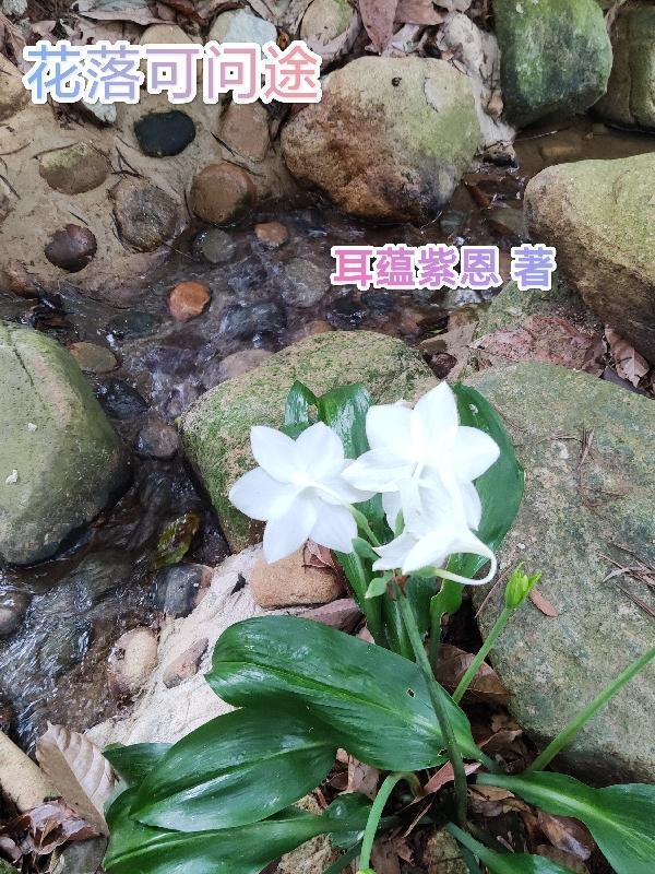 花落伴铞途