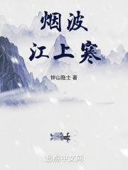 烟波江上寒在线阅读