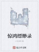 惊鸿讲的什么