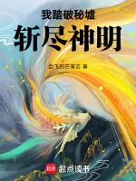 我踏破山巅是什么歌