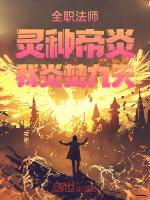 全职法师之灵皇降临