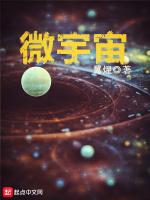 微宇宙的上帝