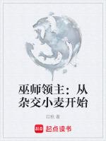 重生巫师领主