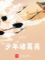 少年诸葛亮电视剧免费观看