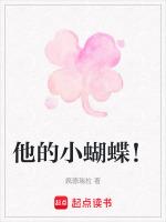 小蝴蝶的蝶怎么写