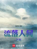 流落人间的公主