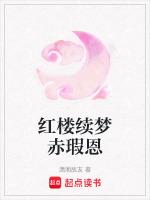 续写红楼