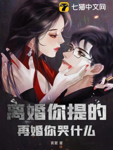 离异再婚吧