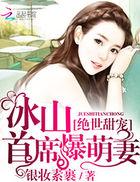 冰山首席强宠妻