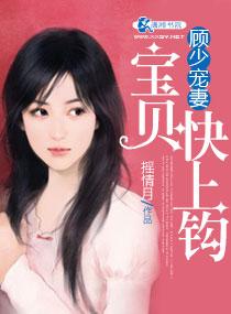 顾少宝贝儿妻