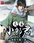 大宋小郎君TXT奇书网