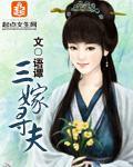 三嫁姻缘免费阅读