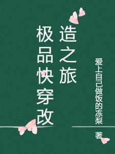 极品改造手册快穿格格党