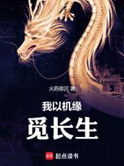 我以机缘觅长生境界划分