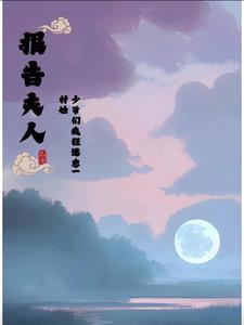 报告夫人免费阅读30