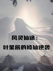 灵风神书叶辰