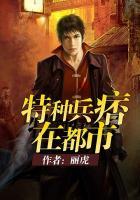 特种兵痞在都市一抹沉香段浪