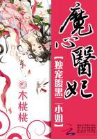 魔心医妃独宠腹黑二小姐免费全本