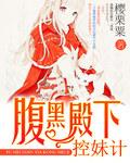 腹黑殿下控妹计类似文