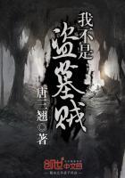 全球震惊我不是盗墓贼