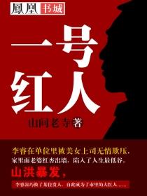 一号红人epub