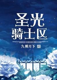 圣骑士圣光闪现多少级