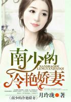 我的冷艳娇妻老婆免费阅读