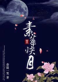 素华映月百度免费