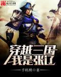 三国之我是张辽