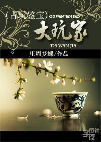 (鉴宝赌石)大玩家范青阳