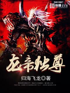 龙帝独尊陆明轩陆琦全文免费
