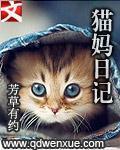 观察日记 猫