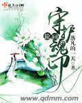 轮回适合哪些英雄
