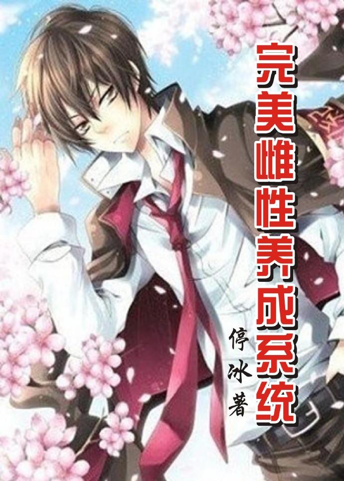 二手机半完美系统