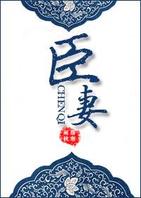 臣妻行羡窈窈沈复大结局前传