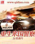 米国警察模拟器破解版