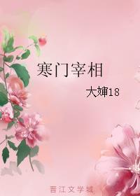 寒门宰相 顶点