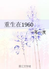 重生1960年