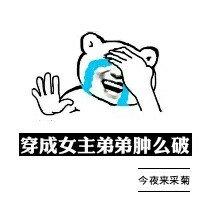 穿成女主弟弟肿么破免费阅读