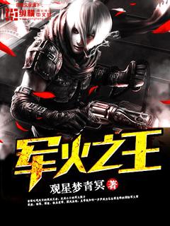 军火之王在线