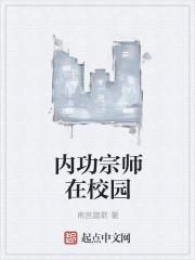 内功宗师在学园