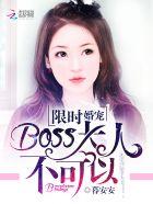 限时婚宠：BOSS大人，不可以